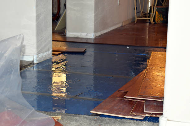 Professional Basement Flood Cleanup technician working in Port Aransas, TX